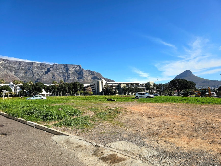 3 Bedroom Property for Sale in Zonnebloem Western Cape